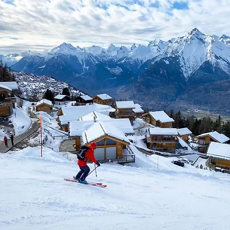 Sunny In With Garden *