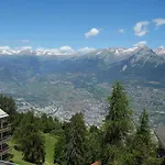 Sunny In With Garden Chalet Veysonnaz